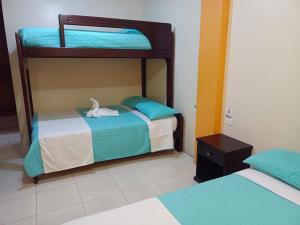 巴尼奥斯Hostal Bryana Inn Baños的一间卧室配有两张双层床,上面有鸟