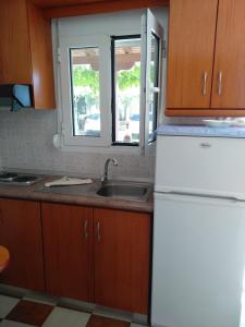 萨尔蒂Villa Tonia Apartments的厨房配有白色冰箱和水槽