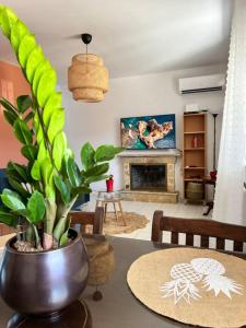 蒂锡利维Casa Callianeira Residence的客厅配有带盆栽的桌子