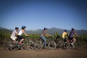 圣克鲁兹马普亚佩山林小屋的一群人骑着自行车在土路上