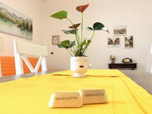 都灵Lingotto 22的坐在桌子上带两条毛巾的植物