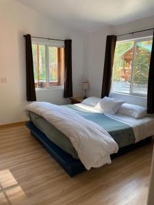 阳光城Talkeetna Wilderness Lodge & Cabin Rentals的一间卧室设有一张大床和大窗户