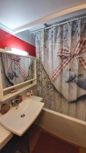 梅塔比耶Au Doubs Refuge的一间带水槽和淋浴帘的浴室