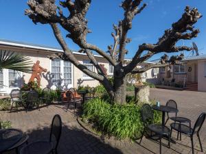 罗托鲁瓦MALFROY Motor Lodge Rotorua的庭院配有桌椅和一棵树