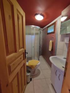 费特希耶Tiny House Ceviz Kayaköy Jungle Camping的浴室配有卫生间、盥洗盆和淋浴。