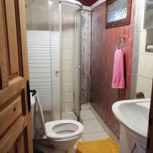费特希耶Tiny House Ceviz Kayaköy Jungle Camping的带淋浴、卫生间和盥洗盆的浴室