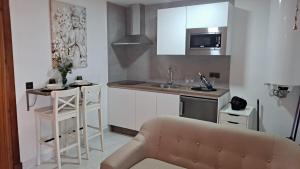 赫雷斯-德拉弗龙特拉ESTUDIO Jacuzzi SOL De JEREZ的带沙发的厨房和带台面的厨房