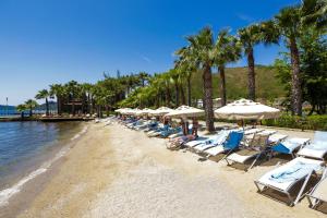 希萨勒尼Fortezza Beach Resort的海滩上的一组椅子和遮阳伞