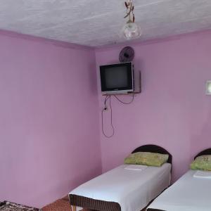 加格拉Гостевой дом Бамбук的客房设有两张床和一台墙上的电视。