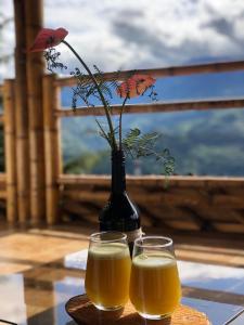 ZetaquiraPosada Rural Casa del Aire的两杯橙汁和花瓶
