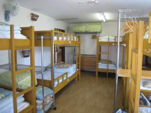 札幌井野背包客旅馆的宿舍间设有几张双层床。