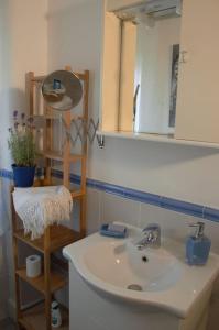 圣玛格丽塔-利古雷Casa del Tempo, apt+giardino CITRA 010054-LT-0417的一间带水槽和镜子的浴室