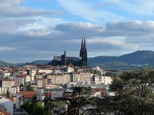 克莱蒙费朗Un havre de paix en plein coeur de ville près Chu的享有教堂和建筑的城市美景