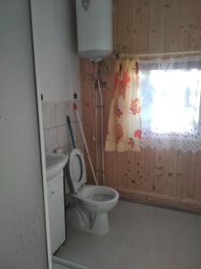 比斯库佩茨Oleandria-,, Domek Jagódka "nr 28的一间带卫生间、水槽和窗户的浴室