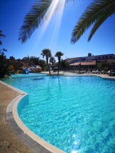 La BétaudièreCamping 4 etoiles Cap Soleil Oleron的一座拥有蓝色海水和棕榈树的游泳池