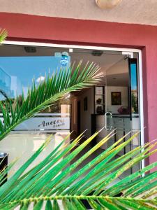 普里莫尔斯科Hotel Ancora Beach的商店窗口前的棕榈树