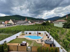 Alsacebnb - Gîte 12 personnes dans le vignoble - Piscine privée & Spa内部或周边泳池景观