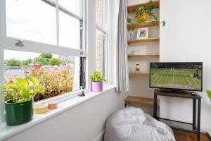 伦敦公寓 - 近地铁站50米的一间设有窗户的房间,配有电视和植物
