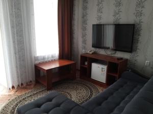 卡拉甘达Гостиница Караганда的带沙发和平面电视的客厅