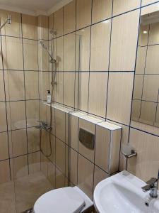 金沙莫尔斯基布里亚格酒店的带淋浴、卫生间和盥洗盆的浴室
