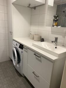 万塔Modern one bedroom apartment nearby Airport的白色的浴室设有水槽和洗衣机。