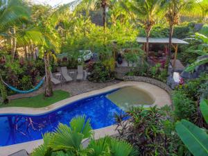 曼努埃尔安东尼奥Villas Oasis的棕榈树庭院内的游泳池