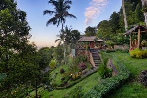 SerayaLoids Villa Eco Lodge Lempuyang的一座花园,花园内有房子和棕榈树