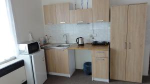 兹诺伊莫U哈拉德伯膳食公寓的一间带水槽和微波炉的小厨房