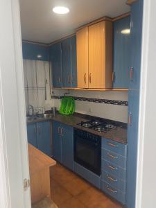 奇克拉纳－德拉弗龙特拉Apartamento la almadraba的厨房配有蓝色橱柜和炉灶烤箱。