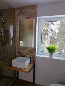 兰卡Sky view Ranca-Transalpina的一间带白色水槽和窗户的浴室