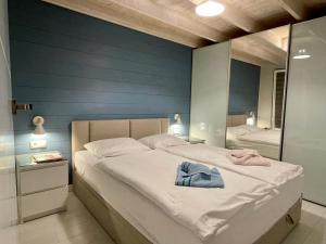 斯维诺乌伊希切Baltic Waterfront Yacht House的一间拥有蓝色墙壁的卧室和一张带镜子的床