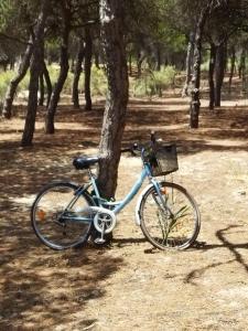 克莉丝蒂娜岛Sol y Mar的停在树旁的一辆蓝色自行车