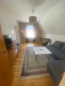 维斯比Visby City Apartments S:t Hansgatan的客厅配有沙发和桌子