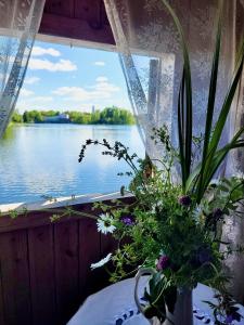 阿卢克斯内Laivu māja uz Alūksnes ezera/ Boat house on a Lake的水景窗户上的花瓶