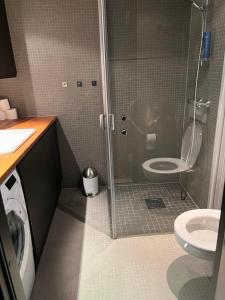 FavangFin leilighet ca 30 min med bil til Hunderfossen的带淋浴、卫生间和盥洗盆的浴室