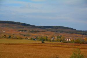 Ladoix SerrignyChateau des Barrigards的田野中间带拖拉机的田野