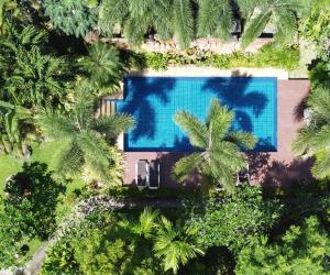奈汉海滩交响乐别墅的享有棕榈树游泳池的顶部景致