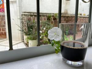 萨尔瓦多Barra Porto - Suítes & Kitnets的玻璃,玻璃上有一朵花,坐在窗台上