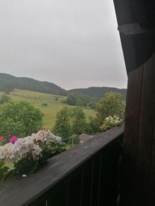 Srbská KamenicePenzion Henke的鲜花阳台,享有田野景色