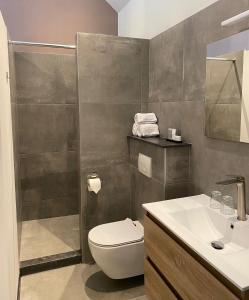 埃赫特B&B Aasterbergerhoeve的浴室配有卫生间、盥洗盆和淋浴。