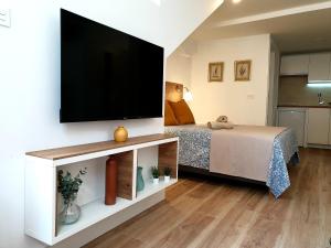 格拉纳达Road Sierra 95 Habitación privada con baño y zona de cocina的一间卧室配有一张床,墙上设有一台平面电视