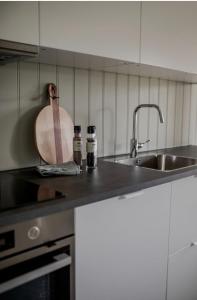 灵达尔Jåsund SunView的厨房配有水槽和台面
