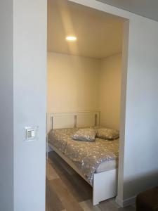 帕内韦日斯Nemuno apartamentai的卧室配有一张床