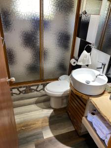 卡斯特鲁Cabañas Los Fabianes的浴室配有卫生间、盥洗盆和淋浴。