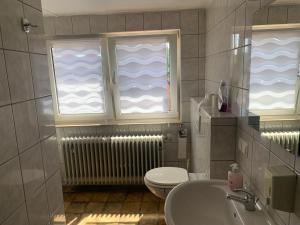 FischbachLandgasthaus Klosterhof的一间带卫生间和水槽的浴室以及两个窗户。