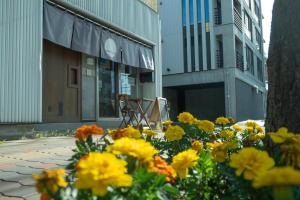 札幌Guesthouse OYADO SAPPORO的建筑前的一束黄色花