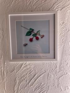 特罗佩阿BlueMind的墙上三只樱桃的照片