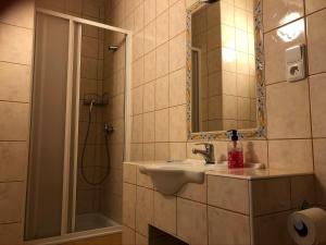 米库洛夫Garni pension U svatého Urbana的浴室配有盥洗盆和带镜子的淋浴