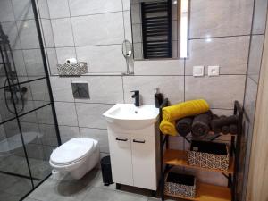 Apartament Karamba的一间浴室