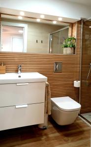 格拉纳达Road Sierra 95 Habitación privada con baño y zona de cocina的一间带水槽、卫生间和淋浴的浴室